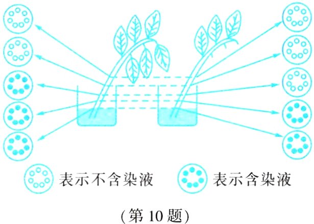第10题