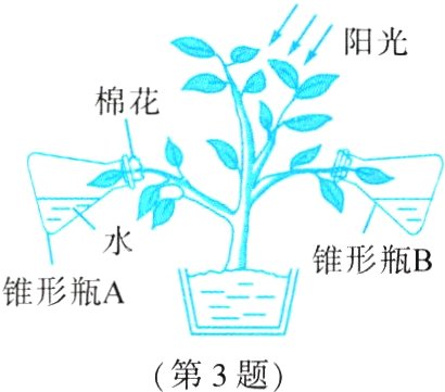 第3题