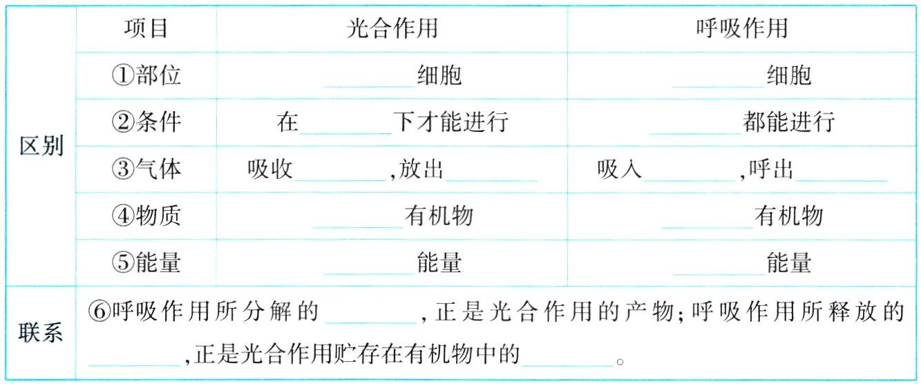正是光合作用贮存在有机物中的