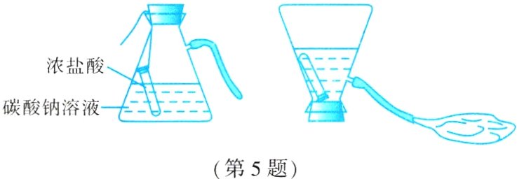第5题