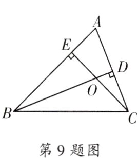 第9题图