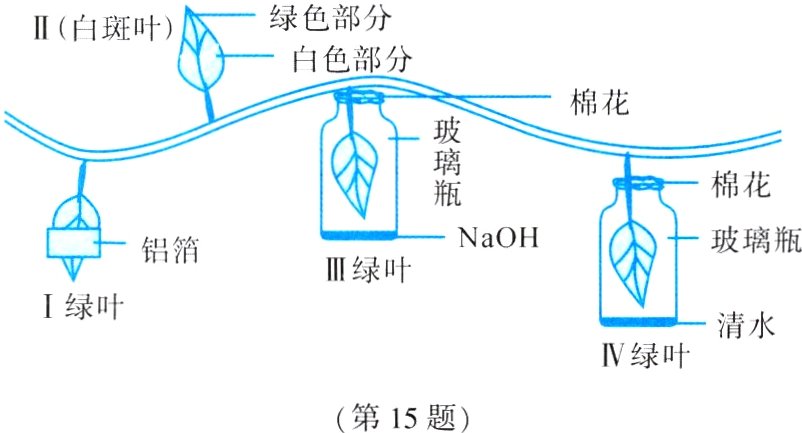 第15题