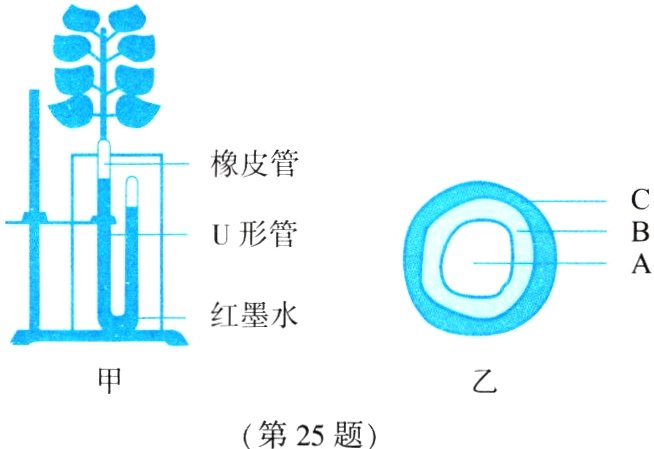 第25题