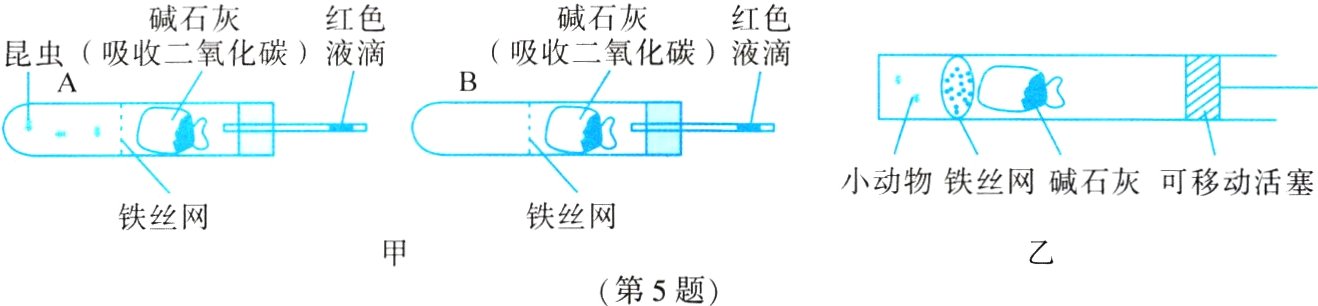 第5题