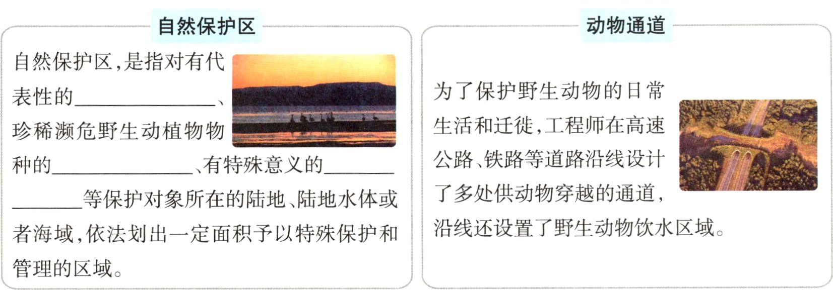 管理的区域