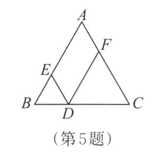 第5题
