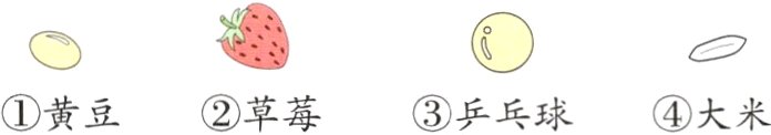 黄豆草莓乒乓球大米
