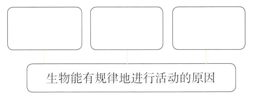 生物能有规律地进行活动的原因