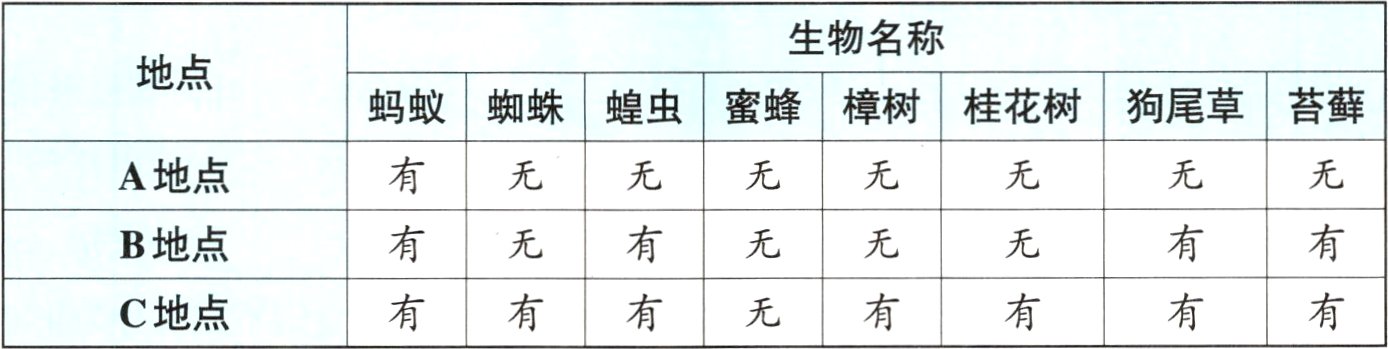 C地点