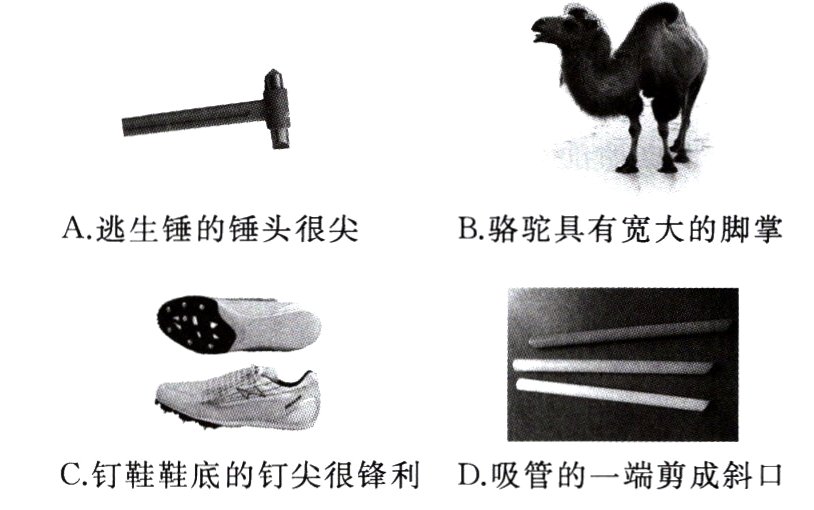 C钉鞋鞋底的钉尖很锋利D吸管的一端剪成斜口