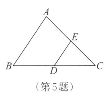 第5题