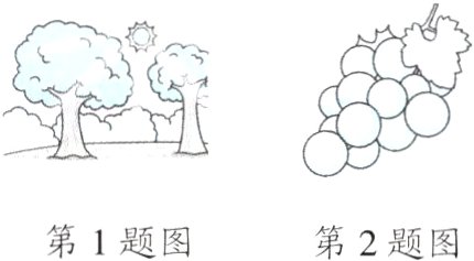 第1题图第2题图