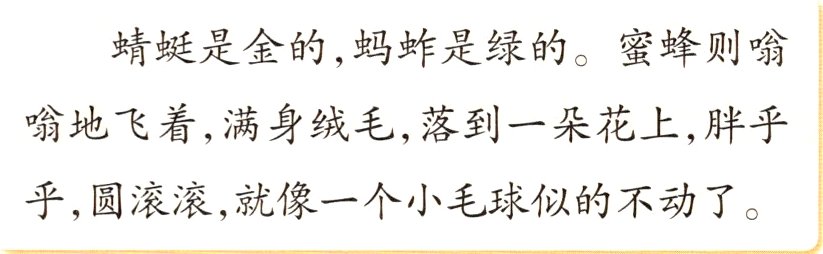 乎圆滚滚就像一个小毛球似的不动了