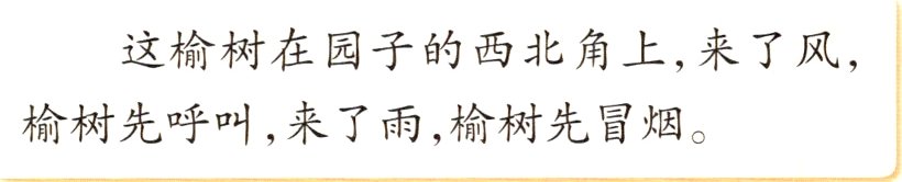 榆树先呼叫来了雨榆树先冒烟
