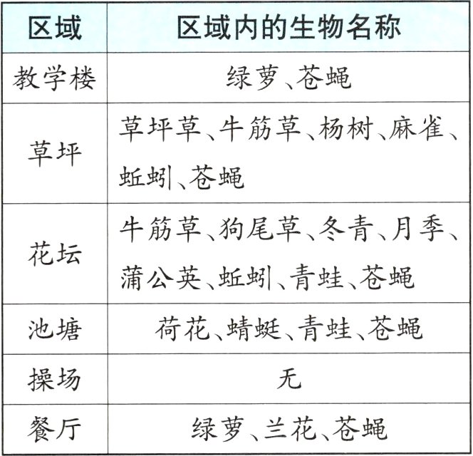 绿萝兰花苍蝇餐厅