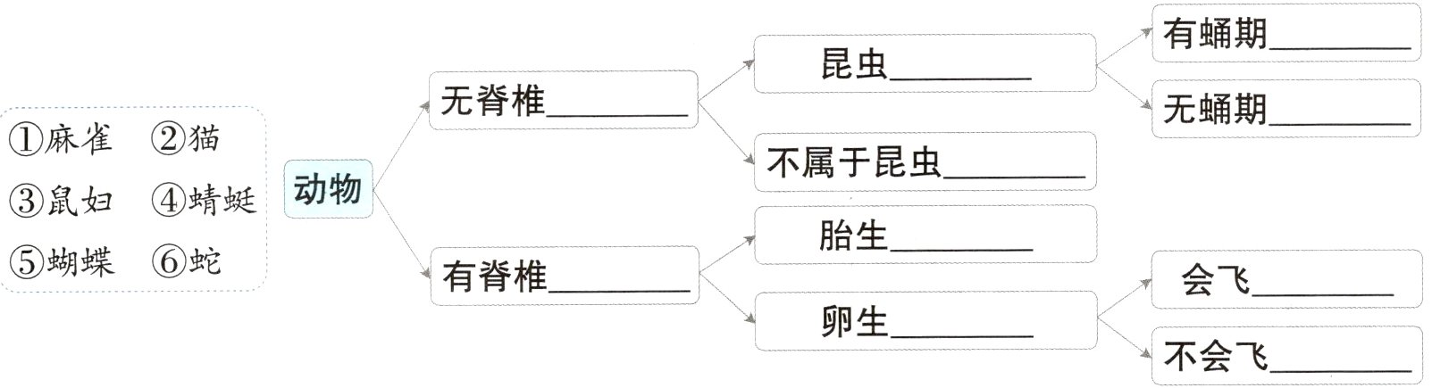 不会飞