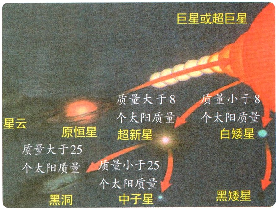 黑矮星中子星黑洞