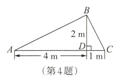 4m第4题