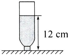12cm