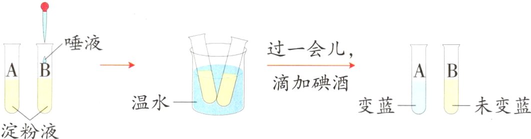 变蓝未变蓝淀粉液