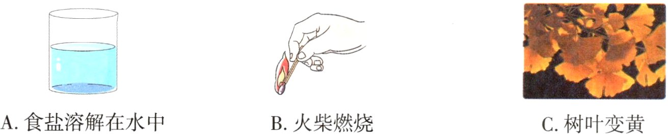 A食盐溶解在水中B火柴燃烧C树叶变黄