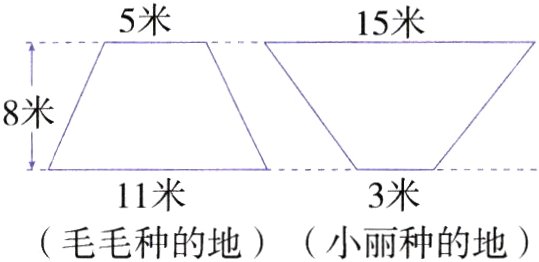 11米3米毛毛种的地小丽种的地