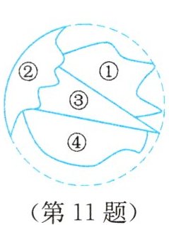 (第11题)