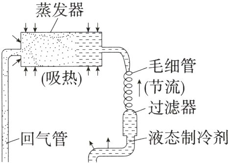 液态制冷剂回气管