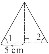 5cm