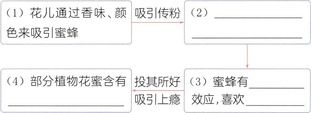 吸引上瘾效应喜欢