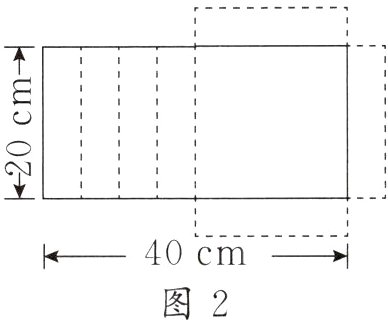 40cm图2