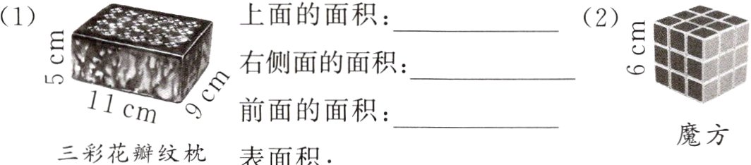 魔方三彩花瓣纹枕表面积