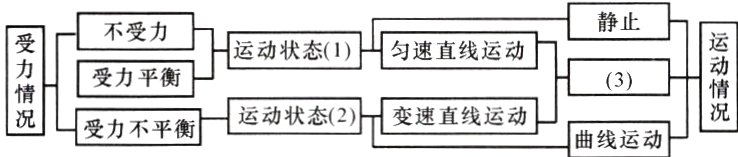 运动状态2变速直线运动受力不平衡曲线运动