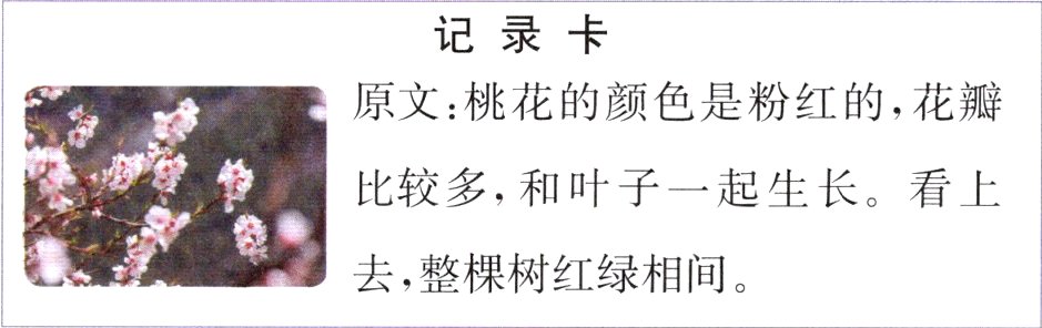 去整棵树红绿相间