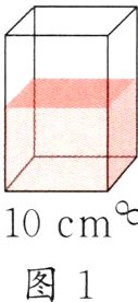图1