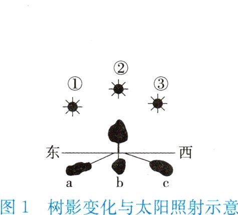 图1树影变化与太阳照射示意