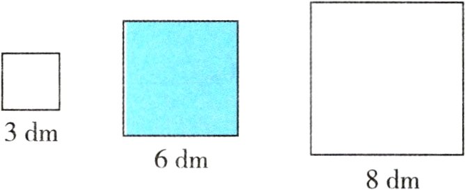 6dm8dm