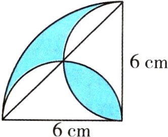 6cm