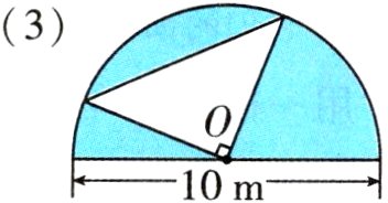 10m