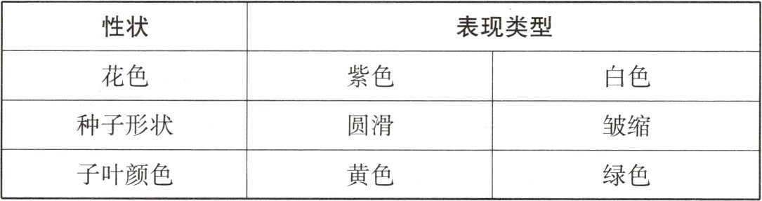 子叶颜色黄色绿色