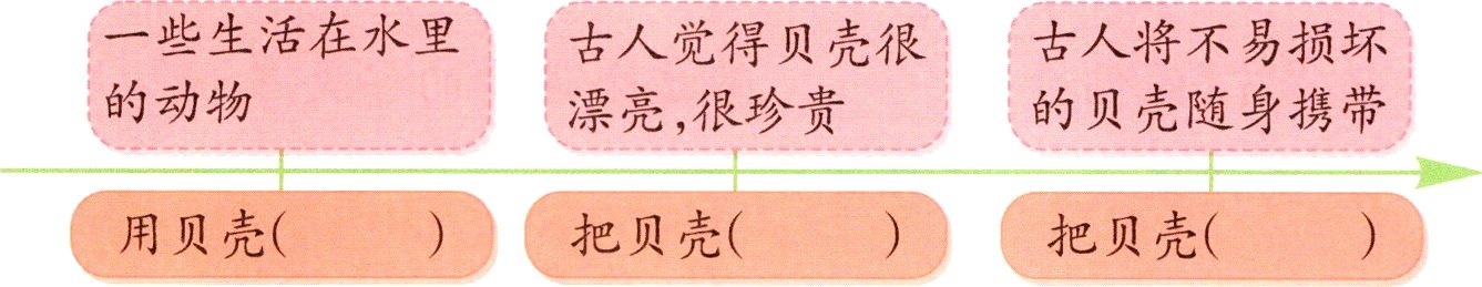 用贝壳把贝壳把贝壳