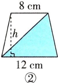 12cm