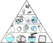 dietn
