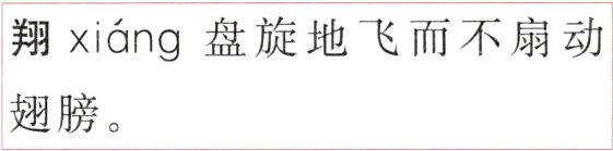 翅膀