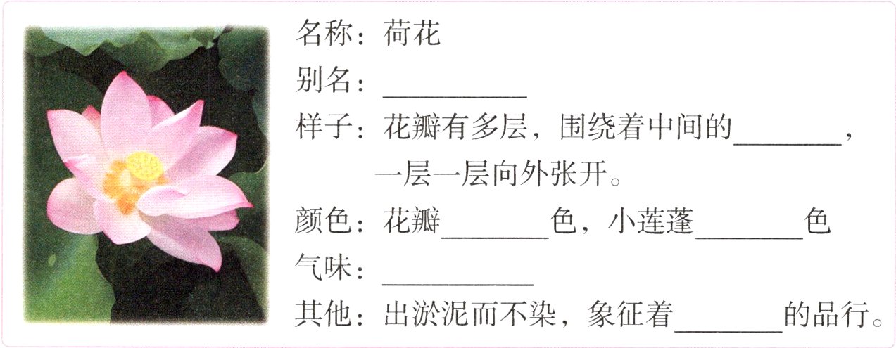 其他出淤泥而不染象征着的品行