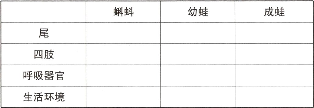生活环境