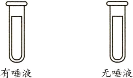 有唾液无唾液