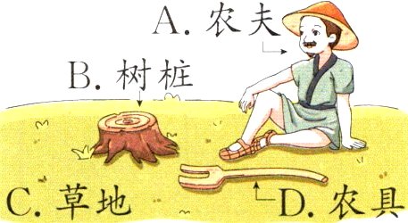 C草地D农具