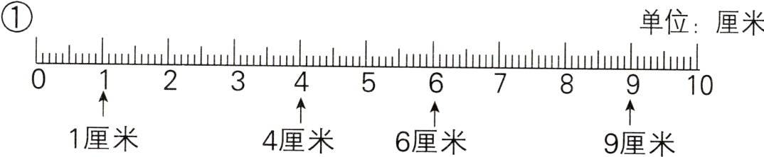1厘米4厘米6厘米9厘米