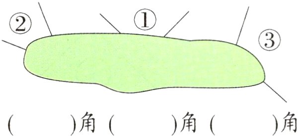角角角